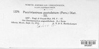 Pucciniastrum epilobii image